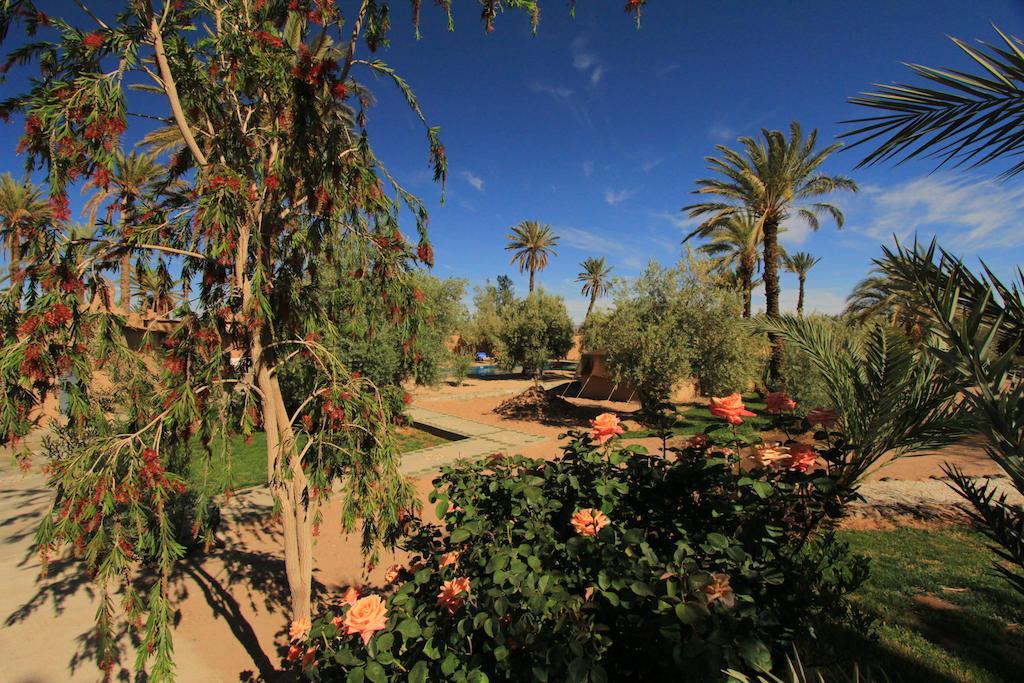 Hotel Kasbah 123 Soleil Skoura Esterno foto