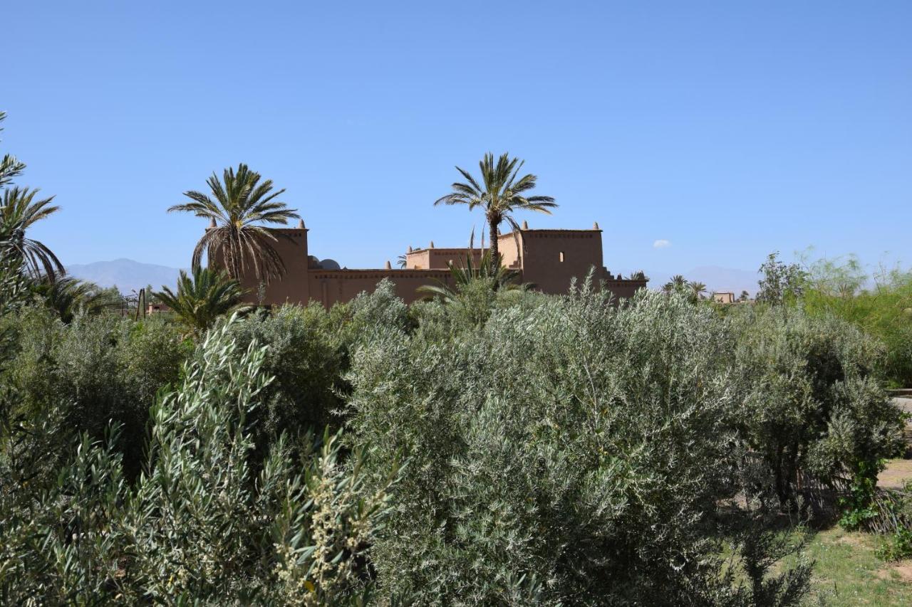 Hotel Kasbah 123 Soleil Skoura Esterno foto